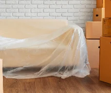 Furniture Covers